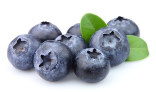 Blueberries with leaves